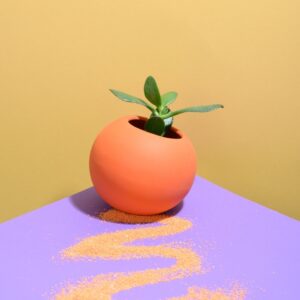 bright shapes set
