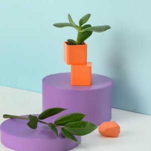 bright shapes set